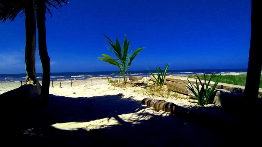 Urantia Beach Hostel & Camping San Onofre Exterior foto